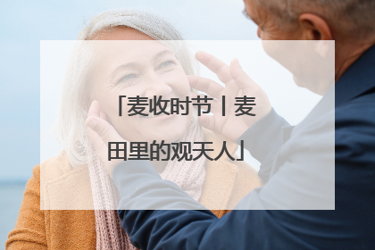 麦收时节丨麦田里的观天人
