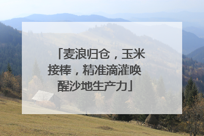 麦浪归仓，玉米接棒，精准滴灌唤醒沙地生产力