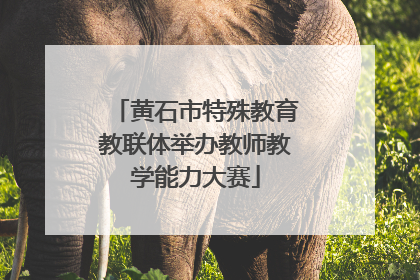 黄石市特殊教育教联体举办教师教学能力大赛