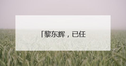 黎东辉，已任湖北省领导