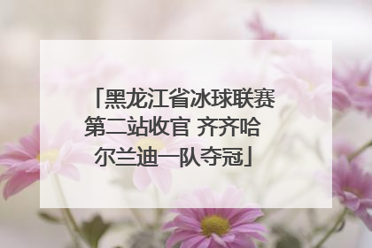 黑龙江省冰球联赛第二站收官 齐齐哈尔兰迪一队夺冠