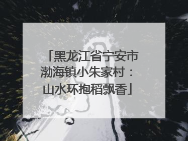 黑龙江省宁安市渤海镇小朱家村：山水环抱稻飘香