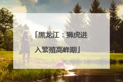 黑龙江：狮虎进入繁殖高峰期