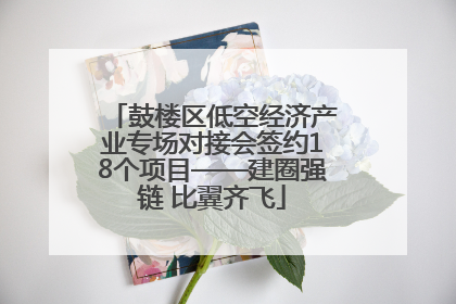 鼓楼区低空经济产业专场对接会签约18个项目——建圈强链 比翼齐飞