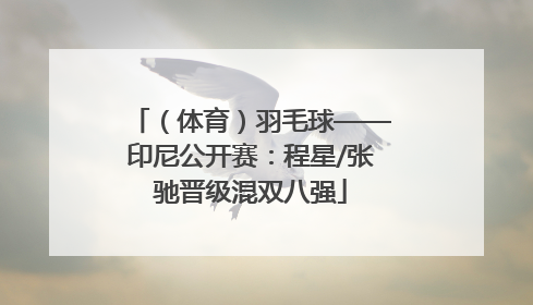 （体育）羽毛球——印尼公开赛：程星/张驰晋级混双八强
