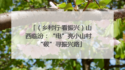 （乡村行·看振兴）山西临汾：“电”亮小山村 “碳”寻振兴路