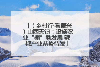（乡村行·看振兴）山西天镇：设施农业“棚”勃发展 辣椒产业蓄势待发