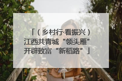 （乡村行·看振兴）江西共青城“领头雁”开辟致富“新稻路”