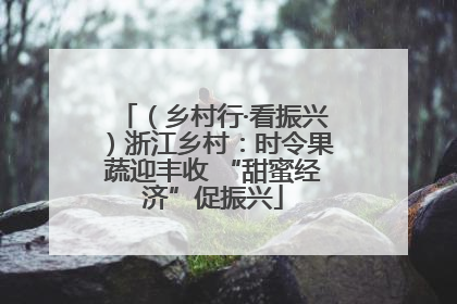 （乡村行·看振兴）浙江乡村：时令果蔬迎丰收 “甜蜜经济”促振兴