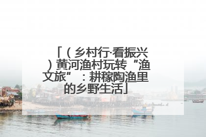 （乡村行·看振兴）黄河渔村玩转“渔文旅”：耕稼陶渔里的乡野生活