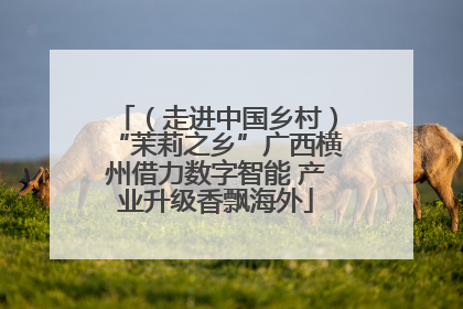 （走进中国乡村）“茉莉之乡”广西横州借力数字智能 产业升级香飘海外