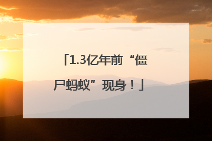 1.3亿年前“僵尸蚂蚁”现身！