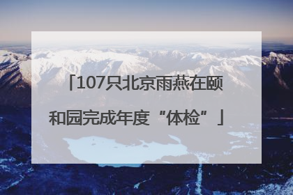 107只北京雨燕在颐和园完成年度“体检”
