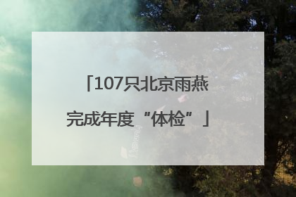 107只北京雨燕完成年度“体检”