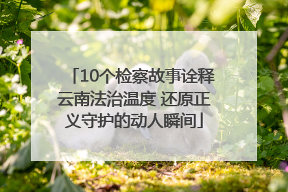 10个检察故事诠释云南法治温度 还原正义守护的动人瞬间