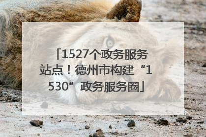 1527个政务服务站点！德州市构建“1530”政务服务圈