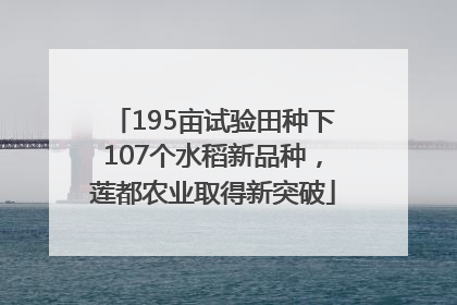 195亩试验田种下107个水稻新品种，莲都农业取得新突破