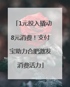 1元投入撬动8元消费！支付宝助力合肥激发消费活力