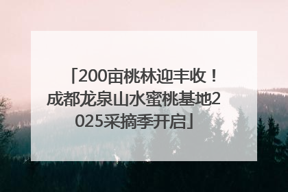 200亩桃林迎丰收！成都龙泉山水蜜桃基地2025采摘季开启