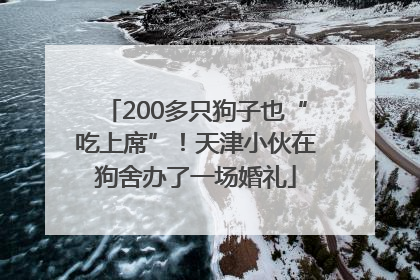200多只狗子也“吃上席”！天津小伙在狗舍办了一场婚礼