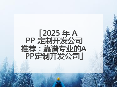 2025 年 APP 定制开发公司推荐：靠谱专业的APP定制开发公司