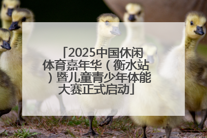 2025中国休闲体育嘉年华（衡水站）暨儿童青少年体能大赛正式启动