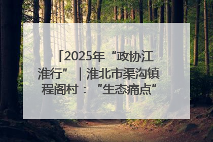 2025年“政协江淮行”｜淮北市渠沟镇程阁村：“生态痛点”变“生态景观”