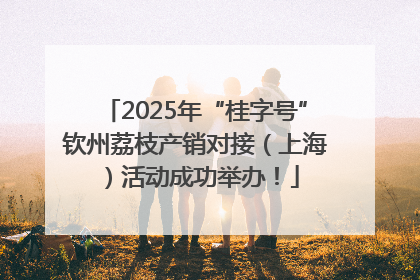 2025年“桂字号”钦州荔枝产销对接（上海）活动成功举办！
