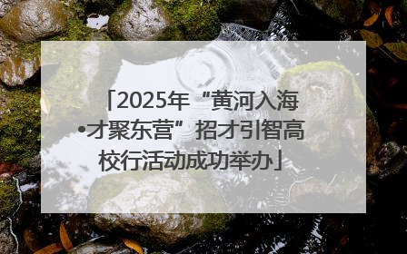2025年“黄河入海•才聚东营”招才引智高校行活动成功举办