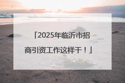 2025年临沂市招商引资工作这样干！