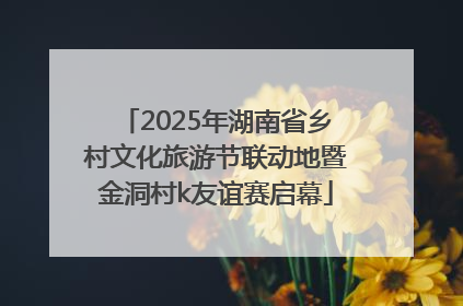 2025年湖南省乡村文化旅游节联动地暨金洞村k友谊赛启幕