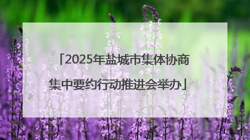 2025年盐城市集体协商集中要约行动推进会举办
