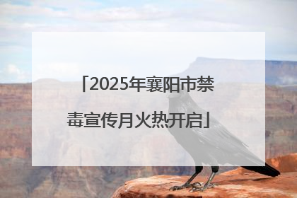 2025年襄阳市禁毒宣传月火热开启