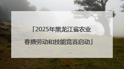 2025年黑龙江省农业春播劳动和技能竞赛启动