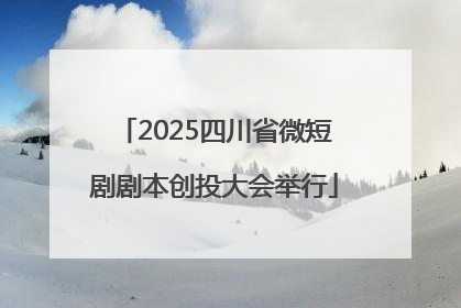 2025四川省微短剧剧本创投大会举行