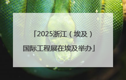 2025浙江（埃及）国际工程展在埃及举办