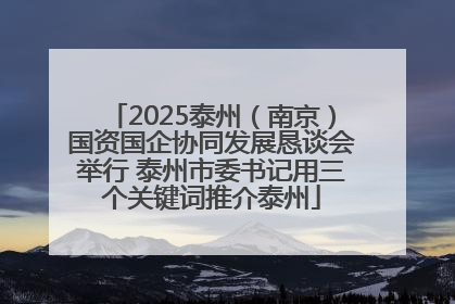 2025泰州（南京）国资国企协同发展恳谈会举行 泰州市委书记用三个关键词推介泰州