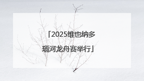 2025维也纳多瑙河龙舟赛举行