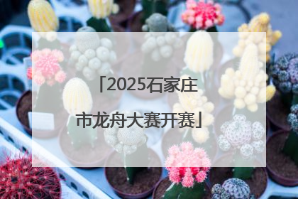 2025石家庄市龙舟大赛开赛