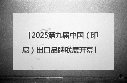 2025第九届中国（印尼）出口品牌联展开幕