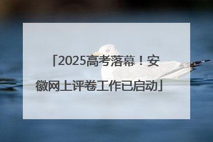 2025高考落幕！安徽网上评卷工作已启动