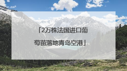 2万株法国进口葡萄苗落地青岛空港