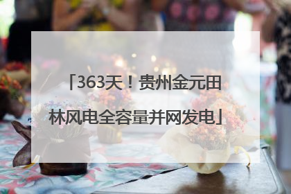 363天！贵州金元田林风电全容量并网发电