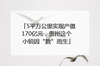 5平方公里实现产值170亿元，贵州这个小镇因“数”而生