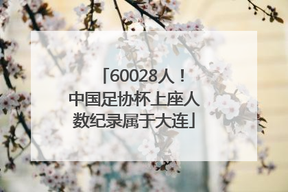 60028人！中国足协杯上座人数纪录属于大连
