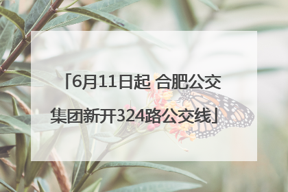 6月11日起 合肥公交集团新开324路公交线