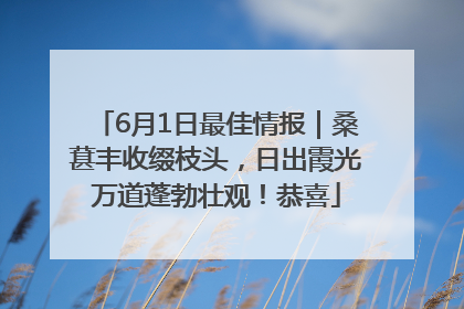 6月1日最佳情报｜桑葚丰收缀枝头，日出霞光万道蓬勃壮观！恭喜