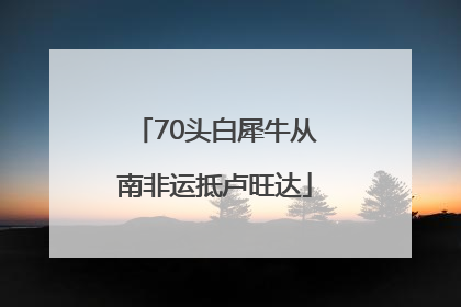 70头白犀牛从南非运抵卢旺达