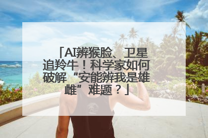 AI辨猴脸、卫星追羚牛！科学家如何破解“安能辨我是雄雌”难题？