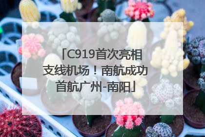 C919首次亮相支线机场！南航成功首航广州-南阳